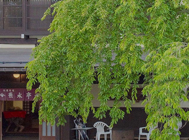 東海 日帰り温泉 一度は泊まりたい 東海 日帰り温泉 人気ホテル 旅館 21年 一休 Com 東海 日帰り温泉 一度は泊まりたい 東海 日帰り温泉 人気ホテル 旅館 21年 一休 Com