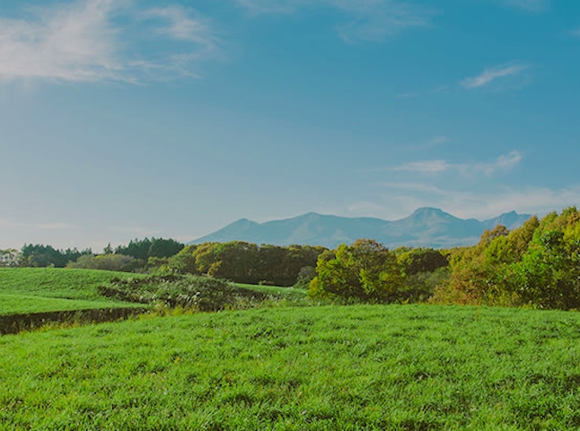 関東の温泉 一度は泊まりたい 関東の温泉地 人気旅館ランキング10選 21年 一休 Com 関東の温泉 一度は泊まりたい 関東の温泉地 人気旅館ランキング10選 21年 一休 Com