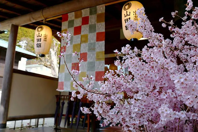 松川渓谷に佇む宿 信州山田温泉 山田館 の空室状況を確認する 宿泊予約は 一休 Com 松川渓谷に佇む宿 信州山田温泉 山田館 の空室状況を確認する 宿泊予約は 一休 Com
