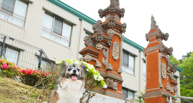 伊豆ぐらんぱる公園に近いホテル 旅館 宿泊予約は 一休 Com 伊豆ぐらんぱる公園に近いホテル 旅館 宿泊予約は 一休 Com