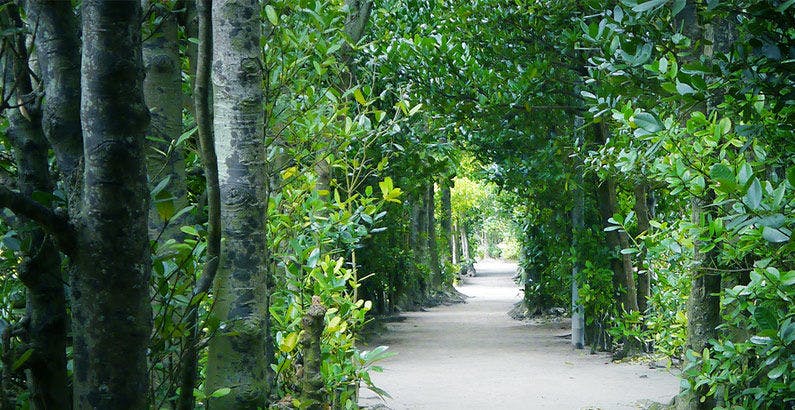 Birth ― the suite ― - 宿泊予約 - 一休.com