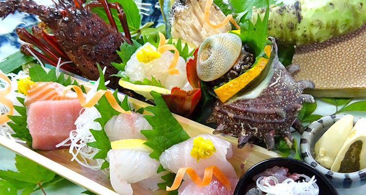 伊豆アニマルキングダム 近い宿 18選 宿泊予約は 一休 Com 伊豆アニマルキングダム 近い宿 18選 宿泊予約は 一休 Com