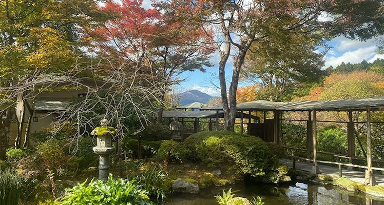 夕食はお部屋 芦ノ湖周辺の温泉地のスイートのお部屋 おすすめホテル 旅館 お得に宿泊予約 Yahoo トラベル 夕食はお部屋 芦ノ湖周辺の温泉地のスイートのお部屋 おすすめホテル 旅館 お得に宿泊予約 Yahoo トラベル