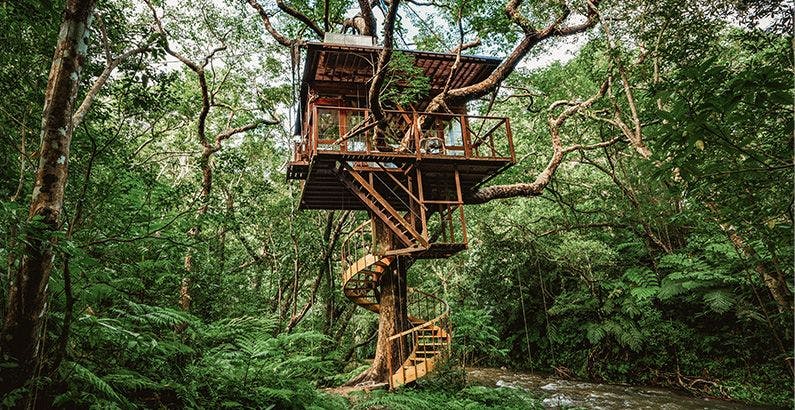 Treeful Treehouse Sustainable Resort - 宿泊予約 - 一休.com