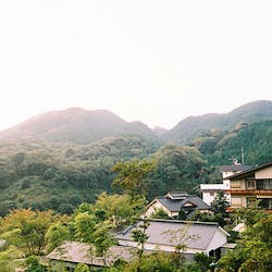 一条竹の子村 静岡 おすすめの人気観光 お出かけスポット Yahoo トラベル 一条竹の子村 静岡 おすすめの人気観光 お出かけスポット Yahoo トラベル