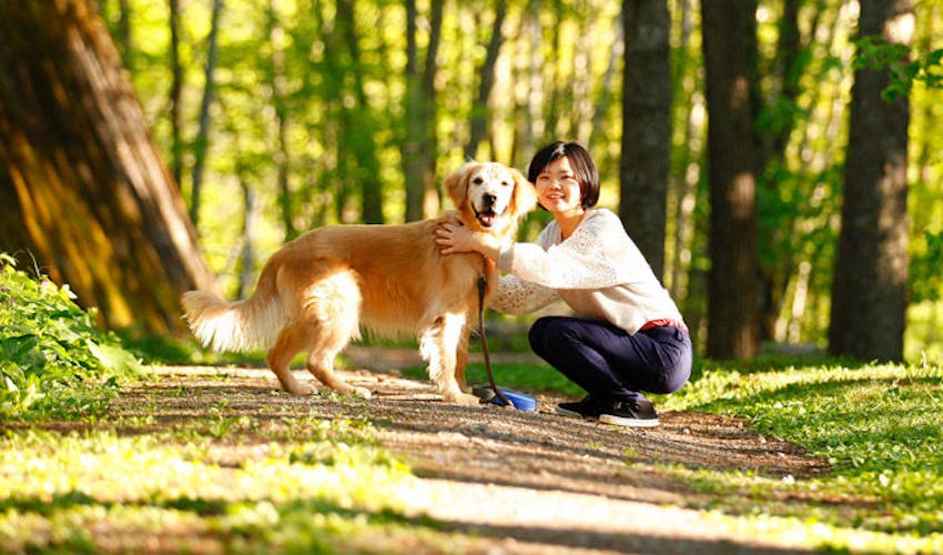 高山わんわんパラダイスホテル の宿泊プラン 宿泊予約は 一休 Com キラリト