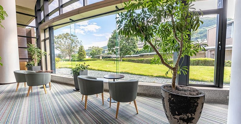 箱根 熱海 伊豆の家族旅行におすすめのカジュアルホテル 旅館 選 魅力あふれる宿で 心くつろぐ休日を 宿泊予約はホテル予約 旅館予約 一休 Com