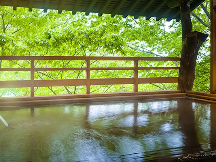 伊香保温泉でおすすめの宿 いま一休で最も売れている宿をご紹介 最上のひとときを 一休 Com 伊香保温泉でおすすめの宿 いま一休で最も売れている宿をご紹介 最上のひとときを 一休 Com