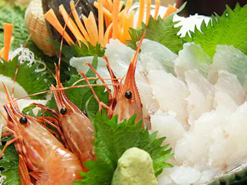 日間賀島周辺でおすすめの宿 人気の宿をランキングでご紹介 Yahoo トラベル 日間賀島周辺でおすすめの宿 人気の宿をランキングでご紹介 Yahoo トラベル