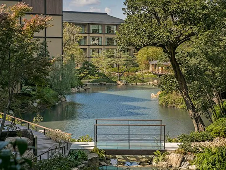 近畿 大阪以外 でおすすめの宿 いま一休で最も売れている宿をご紹介 最上のひとときを 一休 Com 近畿 大阪以外 でおすすめの宿 いま一休で最も売れている宿をご紹介 最上のひとときを 一休 Com