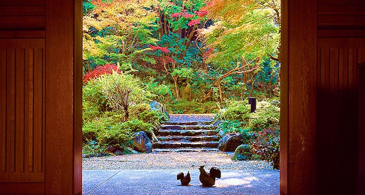 修善寺温泉のおすすめホテル 旅館 11選 宿泊予約は 一休 Com 修善寺温泉のおすすめホテル 旅館 11選 宿泊予約は 一休 Com