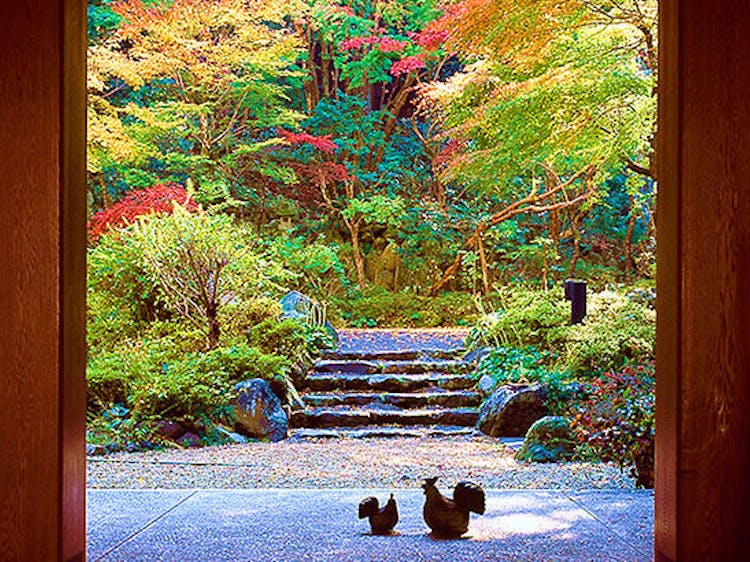 修善寺温泉でおすすめの宿 いま一休で最も売れている宿をご紹介 最上のひとときを 一休 Com 修善寺温泉でおすすめの宿 いま一休で最も売れている宿をご紹介 最上のひとときを 一休 Com