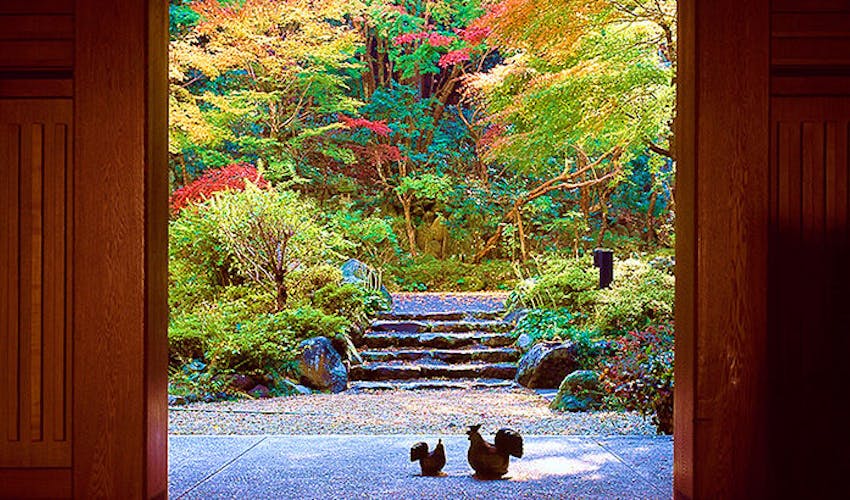 宙 Sora 渡月荘金龍 の空室状況を確認する 宿泊予約は 一休 Com