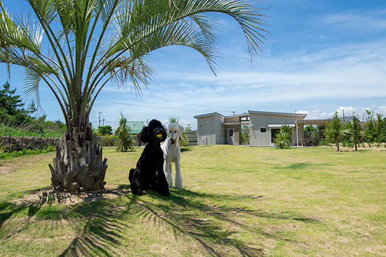 ドッグコテージ海の音 の空室状況を確認する 宿泊予約は 一休 Com 宿泊予約は 一休 Com ドッグコテージ海の音 の空室状況を確認する 宿泊予約は 一休 Com 宿泊予約は 一休 Com