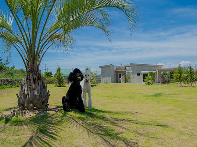 千葉県の貸別荘 コンドミニアム 古民家 住むように滞在する バケーションレンタルは 一休 Com 千葉県の貸別荘 コンドミニアム 古民家 住むように滞在する バケーションレンタルは 一休 Com