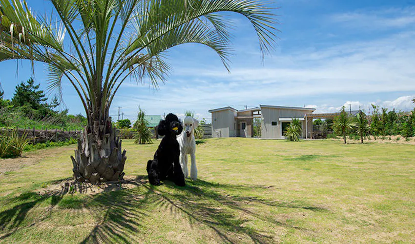 千葉県の貸別荘 コンドミニアム 古民家 住むように滞在する バケーションレンタルは 一休 Com 千葉県の貸別荘 コンドミニアム 古民家 住むように滞在する バケーションレンタルは 一休 Com