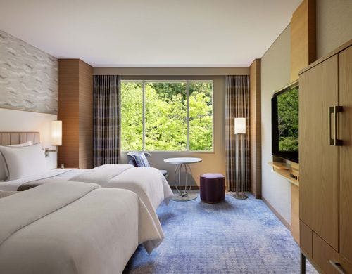 デラックスツイン