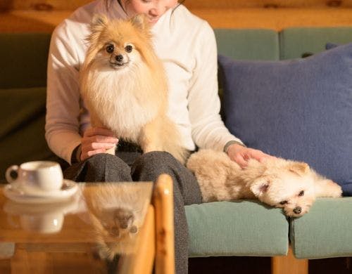 【愛犬同伴専用コテージ】滞在イメージ