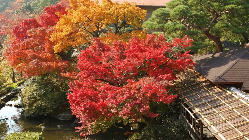 Atami Taikanso, a Ryokan Associated with Yokoyama Taikan
