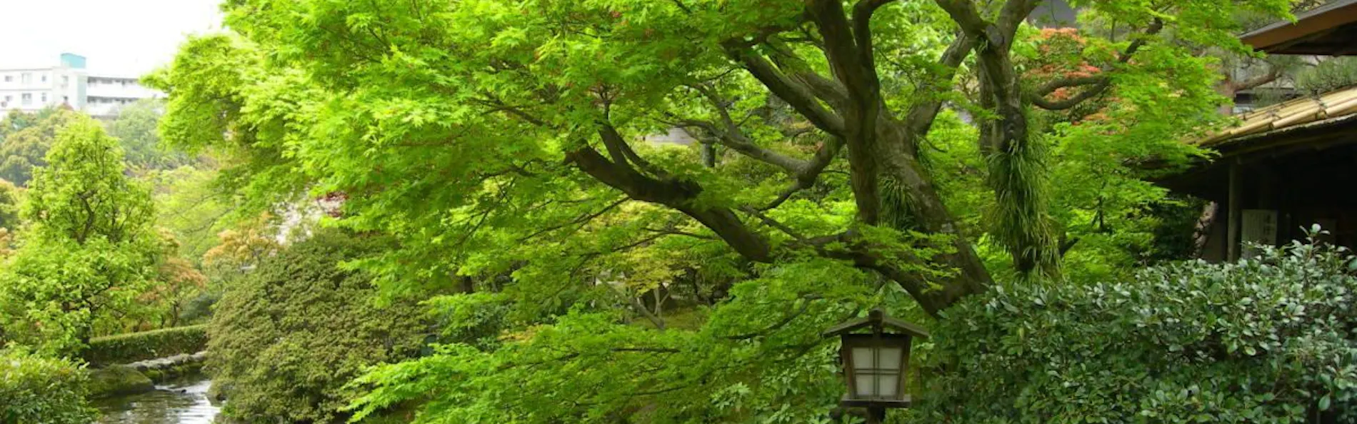 横山大観ゆかりの宿 熱海 大観荘