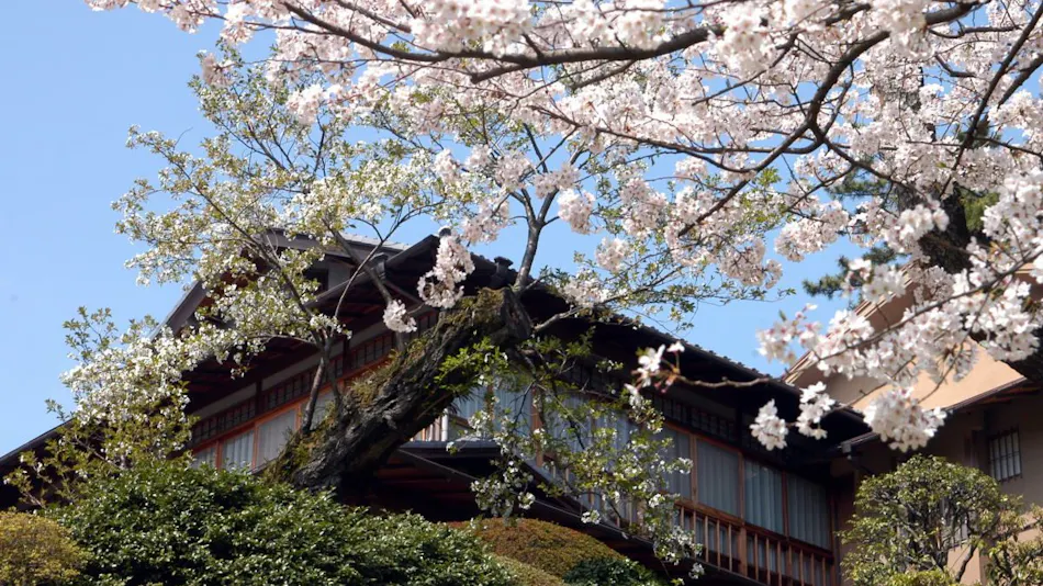 Atami Taikanso, a Ryokan Associated with Yokoyama Taikan