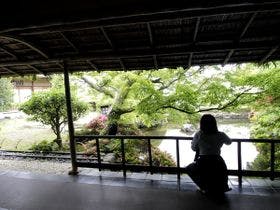 横山大観ゆかりの宿 熱海 大観荘