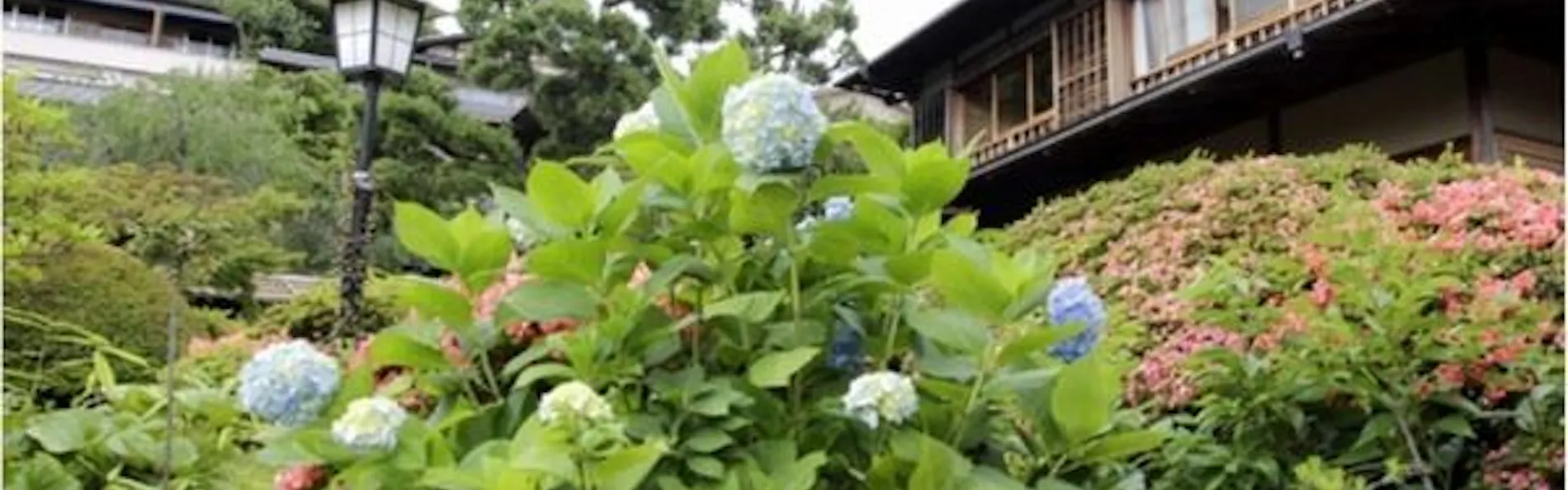 横山大観ゆかりの宿 熱海 大観荘