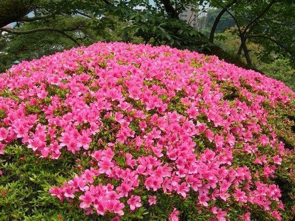 横山大観ゆかりの宿 熱海 大観荘