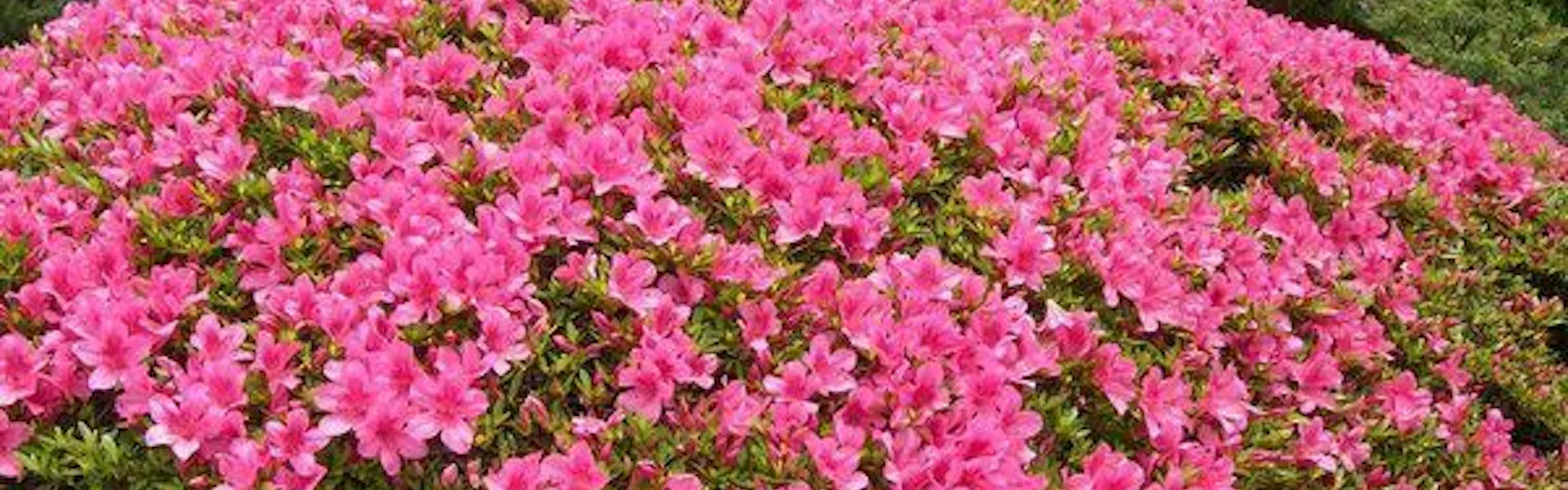 横山大観ゆかりの宿 熱海 大観荘