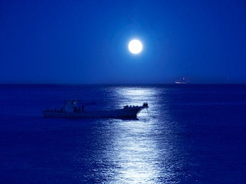 お部屋から望むムーンロード