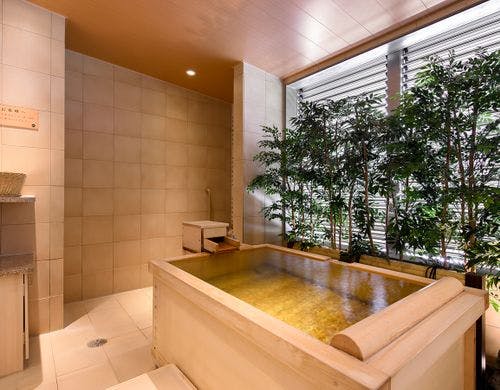 【イメージ】椅子テーブル式のお部屋です