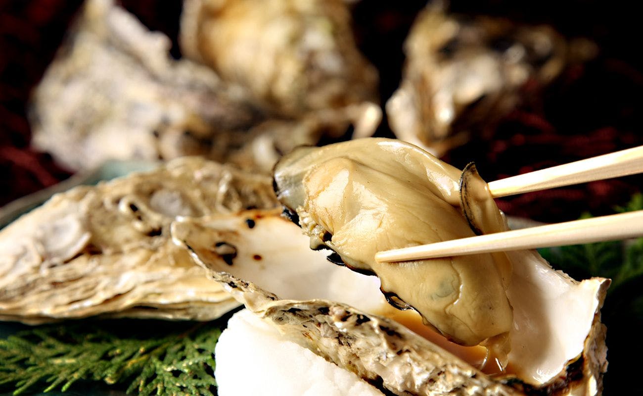 Tiram terbaik di Shikotsu!