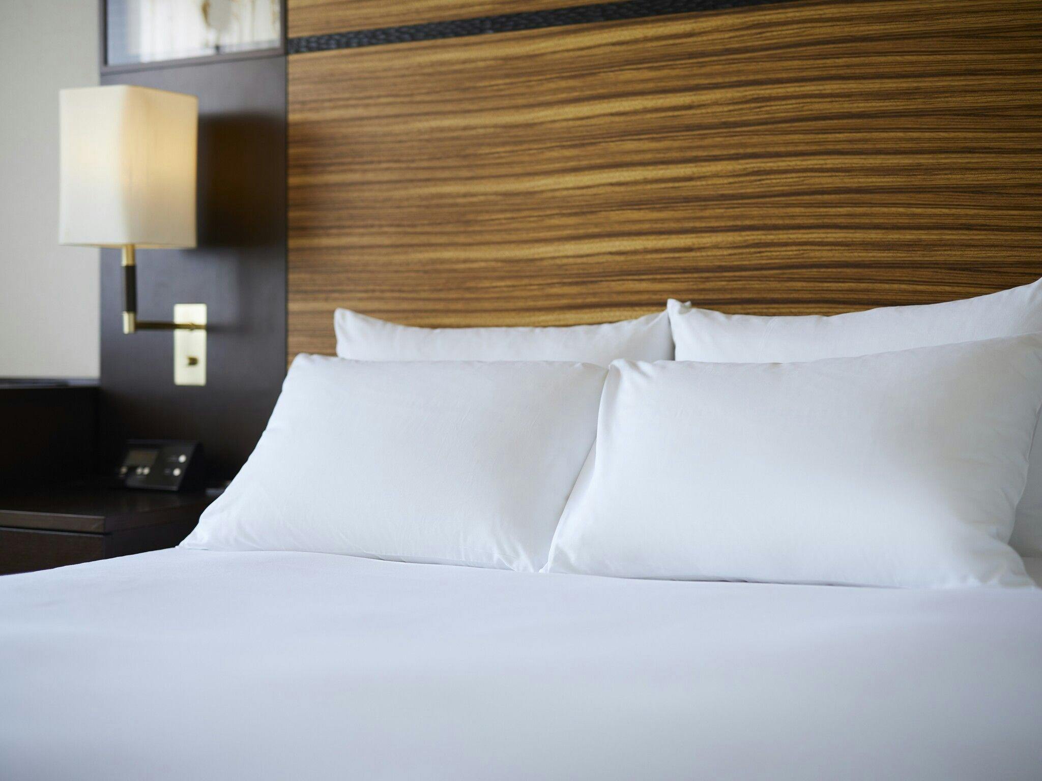 ANA Crowne Plaza Hotel Chitose