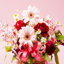 【1泊限定】伊勢海老で祝う記念日プラン