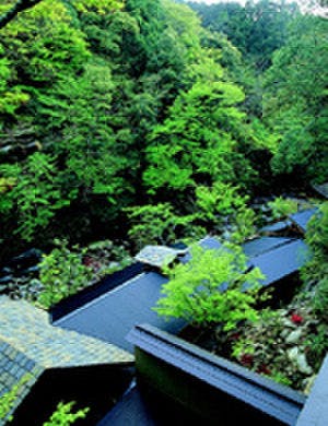 あせび野