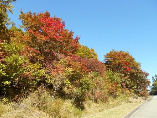 八ヶ岳高原ロッジ
