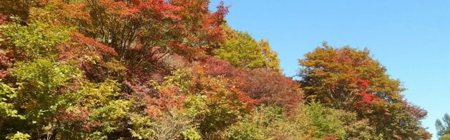 八ヶ岳高原ロッジ