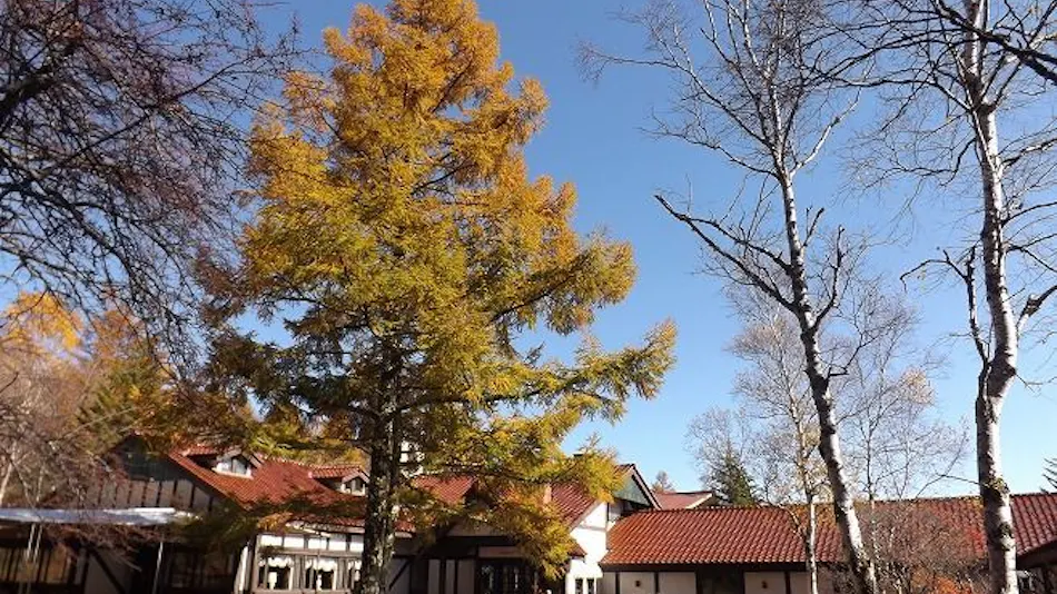 Yatsugatake Kogen Lodge