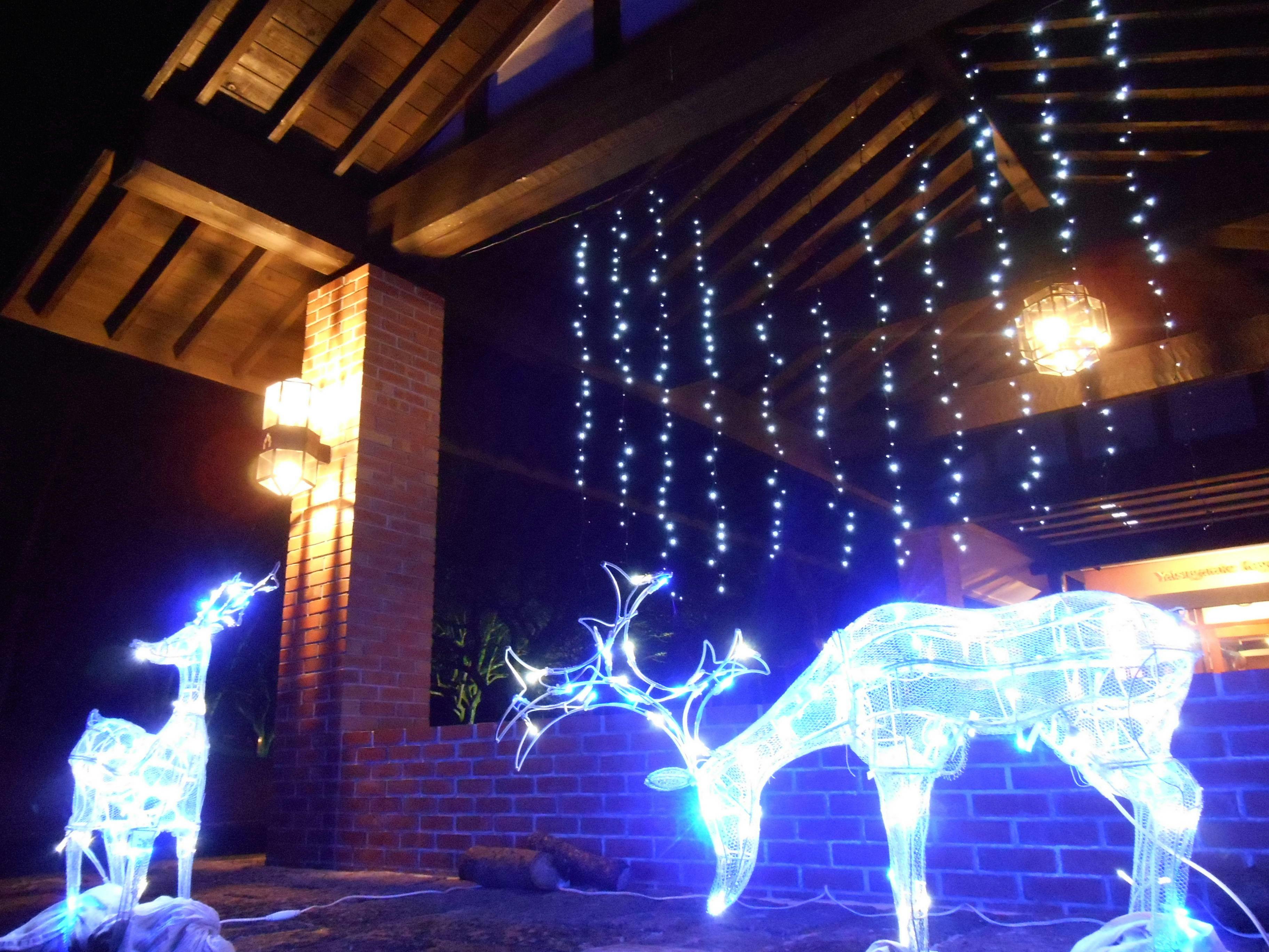 八ヶ岳高原ロッジ