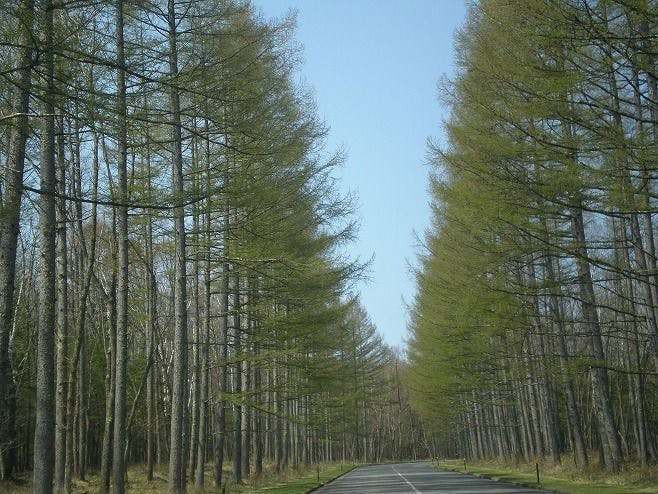 八ヶ岳高原ロッジ