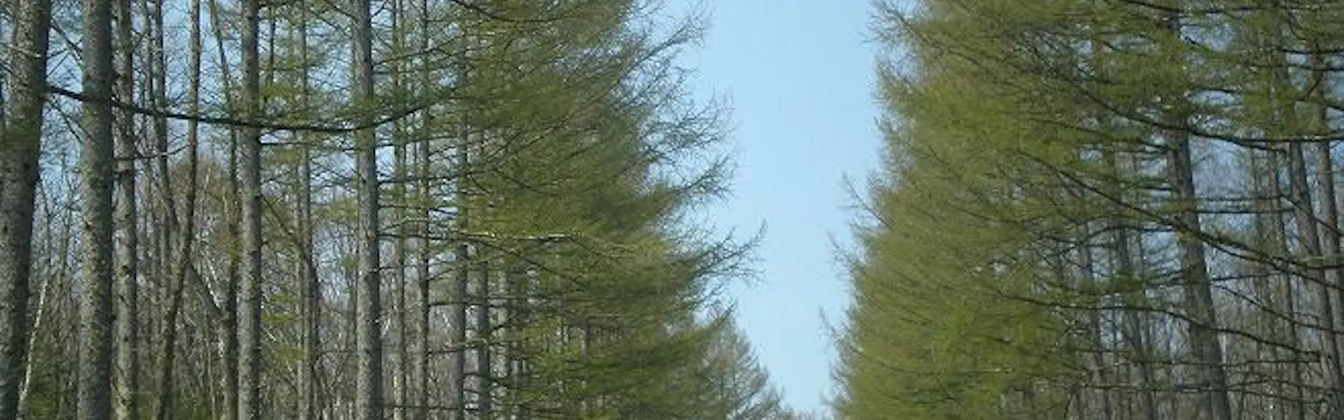八ヶ岳高原ロッジ