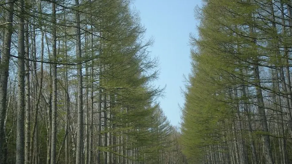 Yatsugatake Kogen Lodge