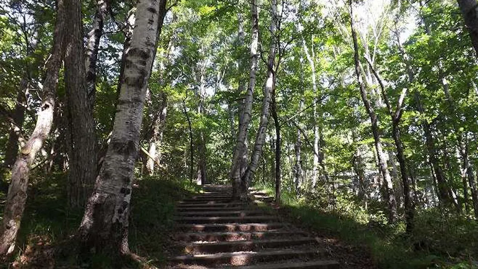 Yatsugatake Kogen Lodge