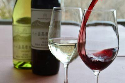 【ソムリエ厳選ワイン飲み放題】お料理とお酒を心ゆくまで満喫！りんご和牛信州牛シチューを堪能する夕べ