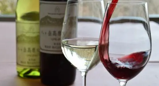 【ソムリエ厳選ワイン飲み放題】お料理とお酒を心ゆくまで満喫!りんご和牛信州牛シチューを堪能する夕べ