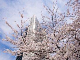 ANAインターコンチネンタルホテル東京