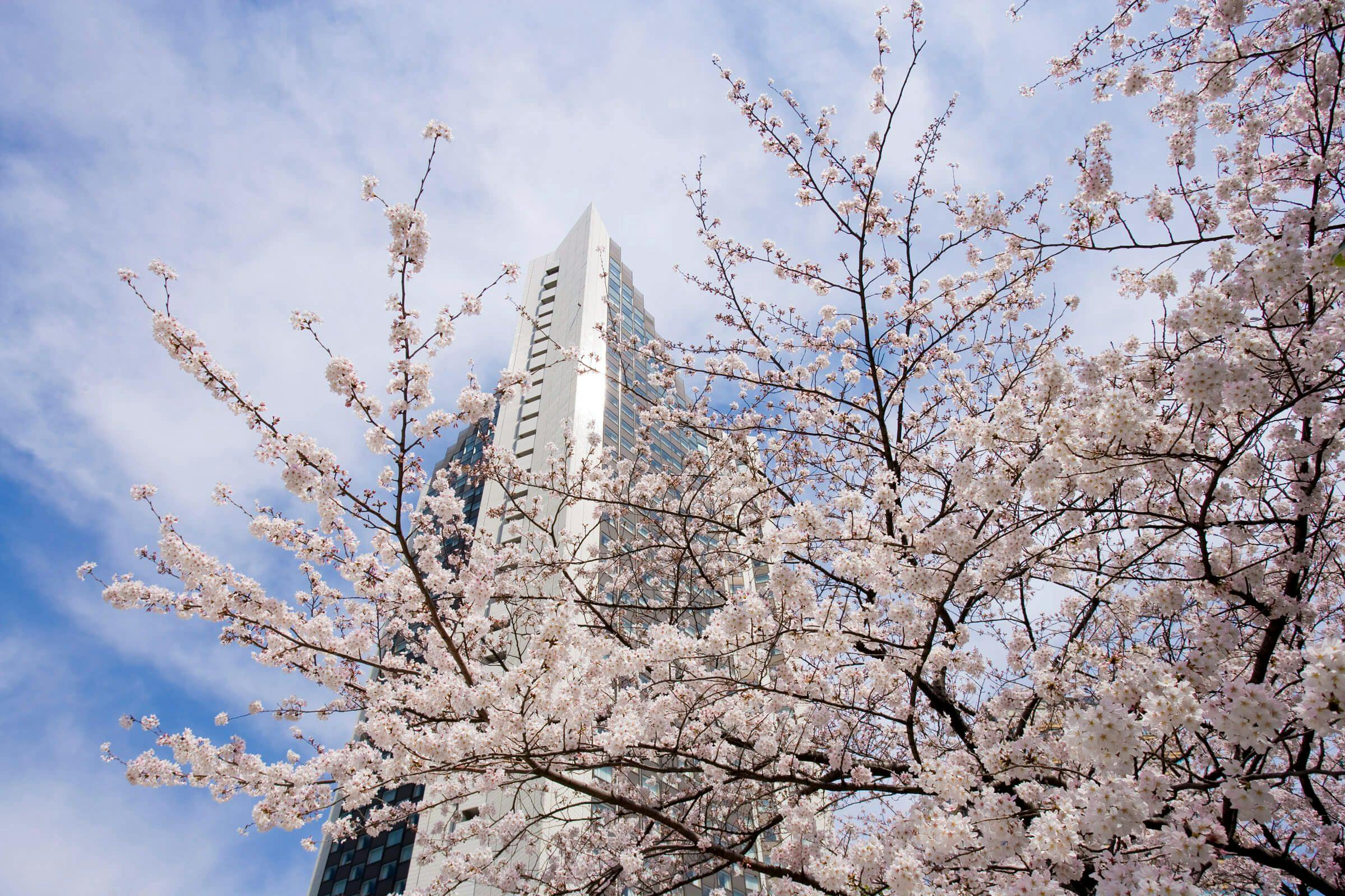 ANAインターコンチネンタルホテル東京 by IHG