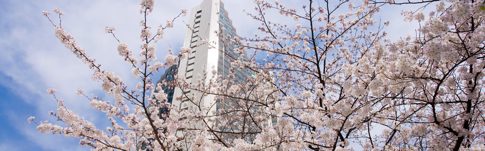 ANAインターコンチネンタルホテル東京 by IHG