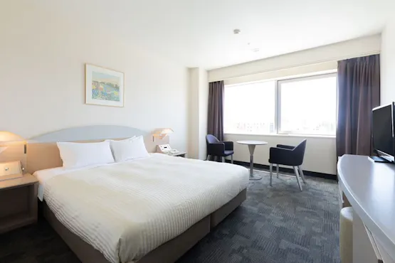 ダブルルームB 24平米