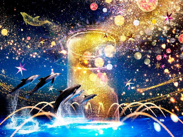 品川プリンスホテル Christmas Aqua Stay 星空の海のクリスマスパーティー 朝食付き アネックスタワー ダブルルーム 禁煙 宿泊予約は 一休 Com 品川プリンスホテル Christmas Aqua Stay 星空の海のクリスマスパーティー 朝食付き アネックスタワー ダブルルーム 禁煙 宿泊予約は 一休 Com